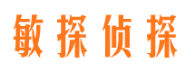 弋江市侦探公司